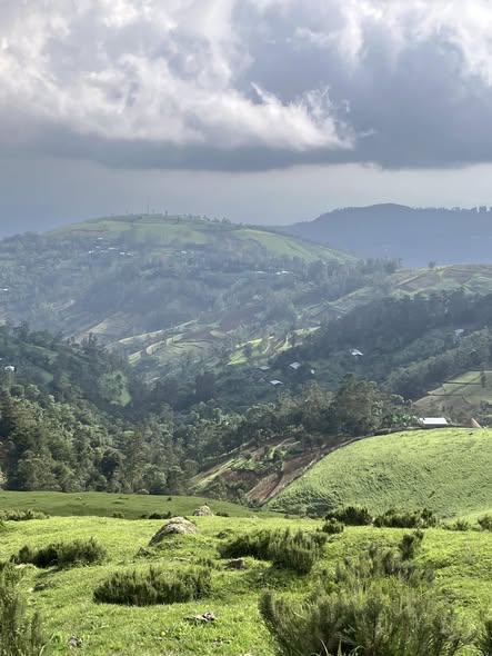 Sidama Cultural Expedition